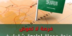 منحة ممولة لجامعة شقراء في السعودية 2023
